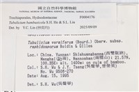 登錄號:F0004176藏品圖，第4張