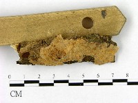 登錄號:F0004177藏品圖，第3張