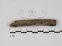 登錄號:F0004178藏品圖，第1張