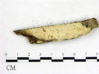 登錄號:F0004180藏品圖，第1張