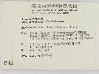 登錄號:F0004181藏品圖，第2張