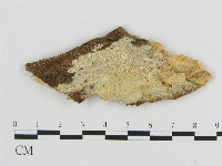 登錄號:F0004181藏品圖，第1張