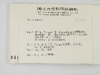 登錄號:F0004182藏品圖，第2張