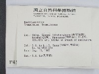 登錄號:F0004185藏品圖，第2張