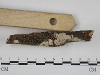 登錄號:F0004185藏品圖，第1張