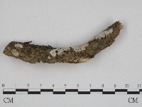 登錄號:F0004185藏品圖，第3張