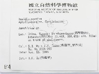 登錄號:F0004189藏品圖，第2張