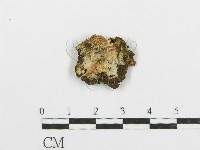 登錄號:F0004189藏品圖，第1張