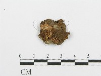 登錄號:F0004189藏品圖，第3張