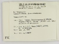 刺革菌屬藏品圖，第2張