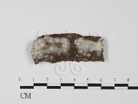 登錄號:F0004192藏品圖，第1張