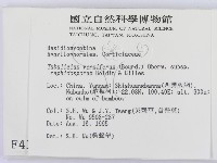 登錄號:F0004193藏品圖，第2張