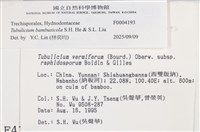 登錄號:F0004193藏品圖，第4張