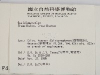 登錄號:F0004194藏品圖，第2張