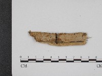 登錄號:F0004194藏品圖，第1張