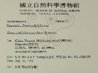 登錄號:F0004197藏品圖，第2張