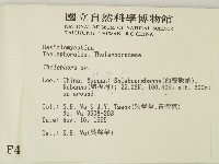 革菌屬藏品圖，第2張