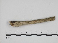 登錄號:F0004200藏品圖，第1張