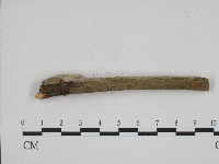 登錄號:F0004200藏品圖，第3張