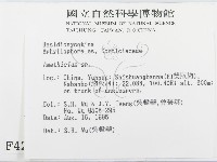 登錄號:F0004201藏品圖，第2張