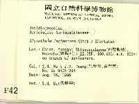 登錄號:F0004202藏品圖，第2張