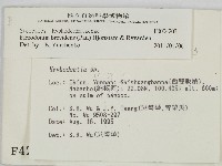 登錄號:F0004203藏品圖，第2張