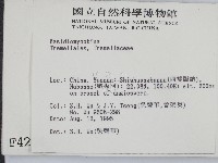 登錄號:F0004204藏品圖，第2張