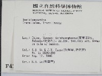 登錄號:F0004206藏品圖，第2張