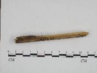 登錄號:F0004206藏品圖，第3張