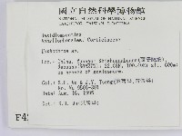 絲皮菌屬藏品圖，第2張