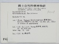 絲齒菌屬藏品圖，第2張