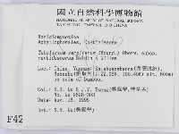 登錄號:F0004209藏品圖，第2張