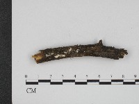 登錄號:F0004210藏品圖，第1張