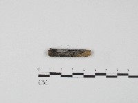 登錄號:F0004211藏品圖，第1張