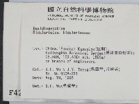 登錄號:F0004215藏品圖，第2張