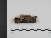 登錄號:F0004215藏品圖，第1張