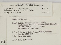 登錄號:F0004216藏品圖，第2張