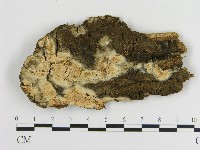 登錄號:F0004217藏品圖，第1張