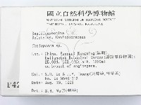 登錄號:F0004220藏品圖，第2張