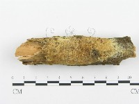 登錄號:F0004220藏品圖，第1張