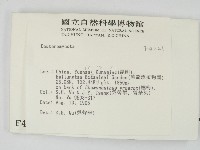 登錄號:F0004221藏品圖，第2張