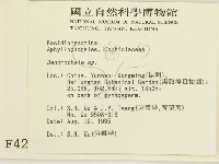 登錄號:F0004222藏品圖，第2張