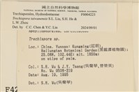 館號:F0004223藏品圖，第3張