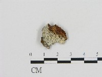 登錄號:F0004224藏品圖，第1張