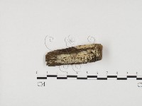 登錄號:F0004225藏品圖，第1張