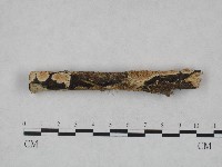 登錄號:F0004226藏品圖，第1張