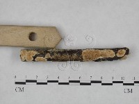 登錄號:F0004226藏品圖，第4張