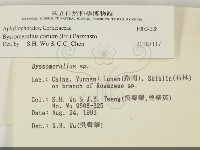 登錄號:F0004228藏品圖，第2張