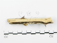 登錄號:F0004228藏品圖，第4張