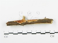 登錄號:F0004228藏品圖，第5張